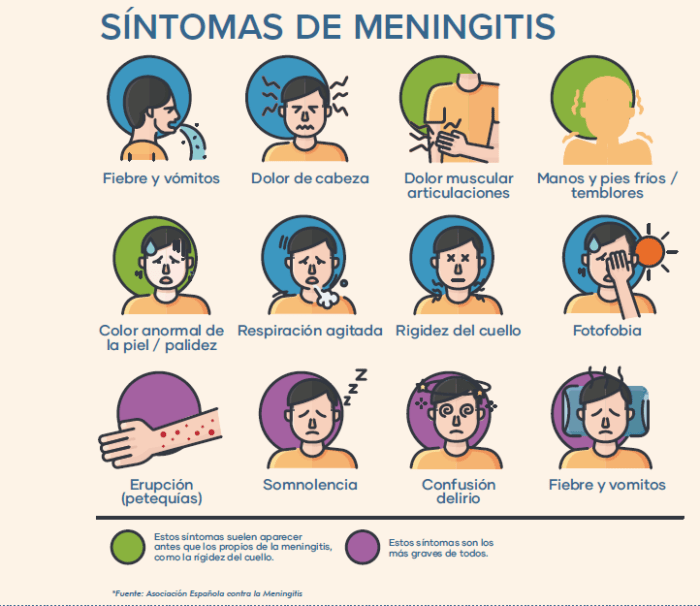 Meningitis. ¿Explotará la burbuja?- Consejos de tu farmaceútico