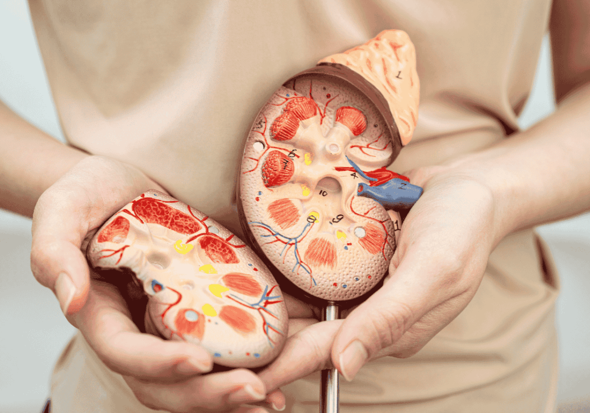 enfermedad renal crónica
